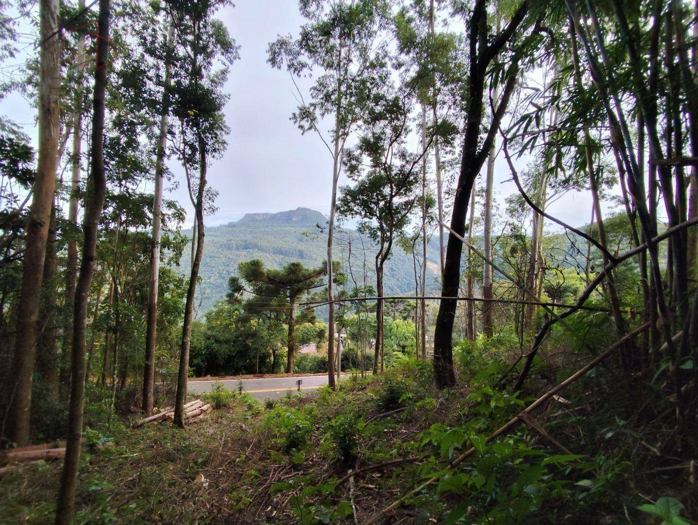 Terreno à venda, 1300M2 - Foto 6