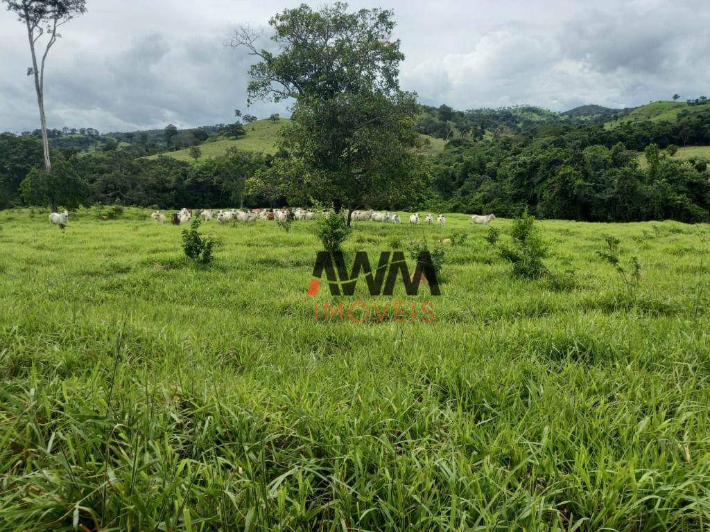 Fazenda à venda, 1694000M2 - Foto 30