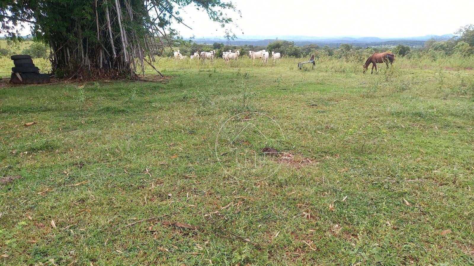 Fazenda à venda, 32000000M2 - Foto 4