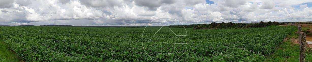 Fazenda à venda, 170000000M2 - Foto 6