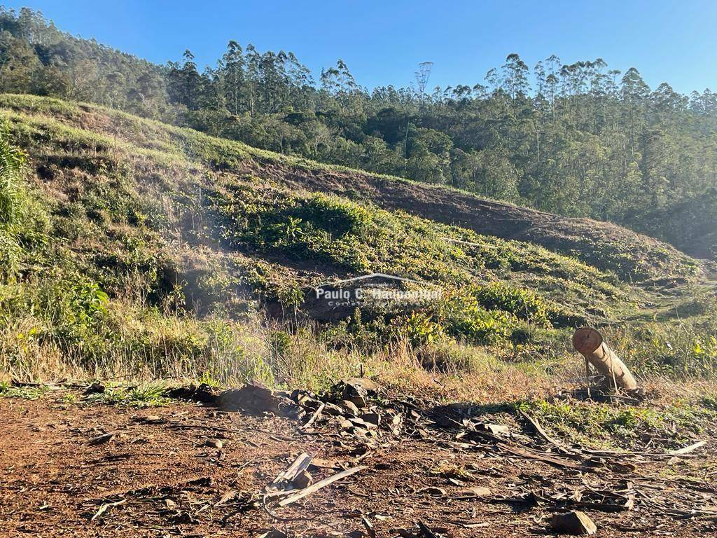 Terreno, 30 hectares - Foto 6