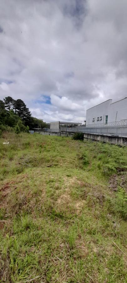 Terreno à venda, 4596m² - Foto 5