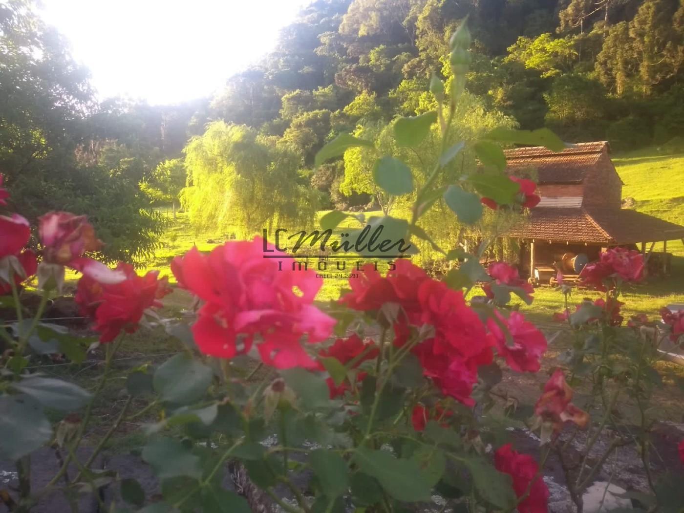 Fazenda, 49 m² - Foto 4