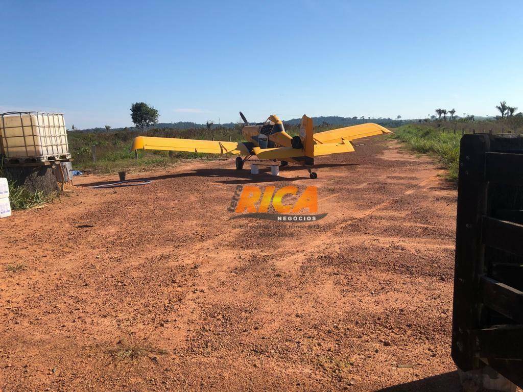 Fazenda à venda com 4 quartos, 99000000M2 - Foto 16