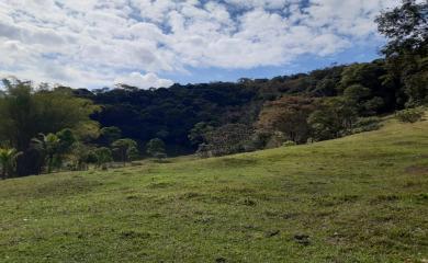 Fazenda à venda com 5 quartos, 150000m² - Foto 5