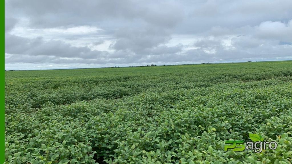 Fazenda-Sítio-Chácara, 4353 hectares - Foto 1