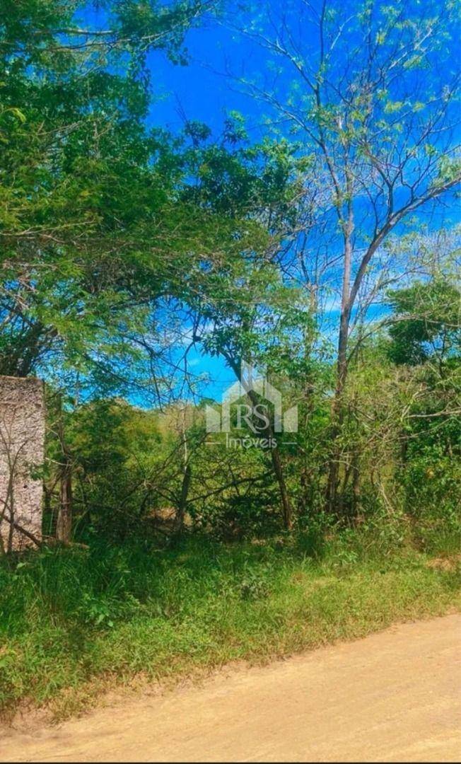 Terreno, 10000 m² - Foto 1