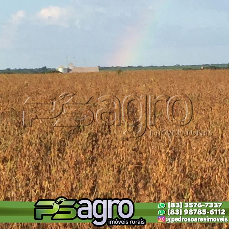 Fazenda-Sítio-Chácara, 18600 hectares - Foto 2