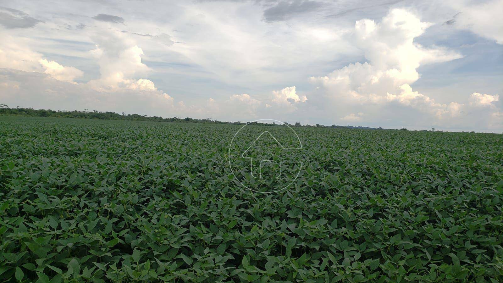 Fazenda à venda, 130000000M2 - Foto 4