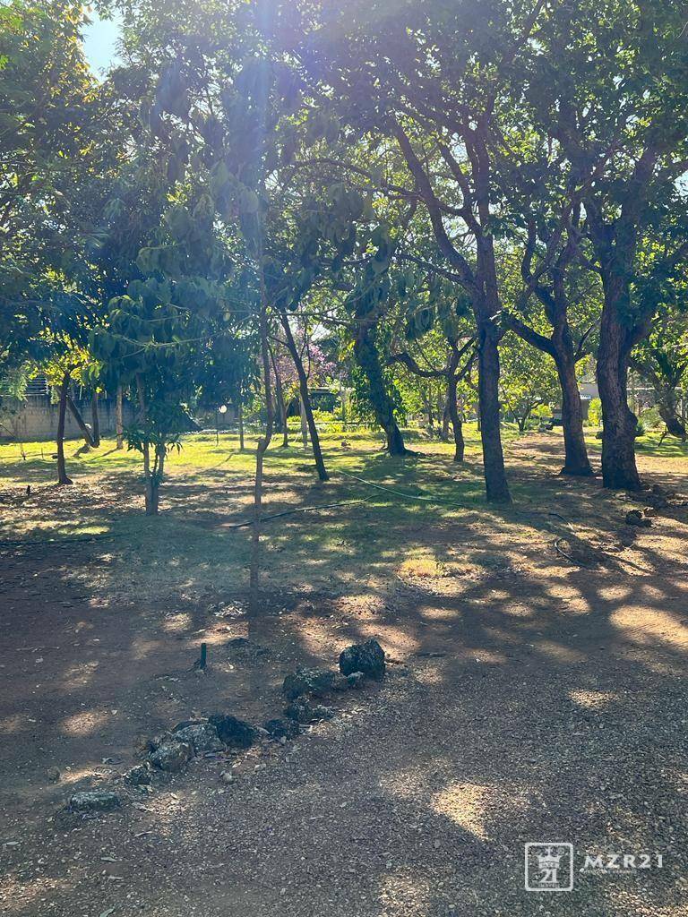 Chácara à venda com 4 quartos, 6000M2 - Foto 9
