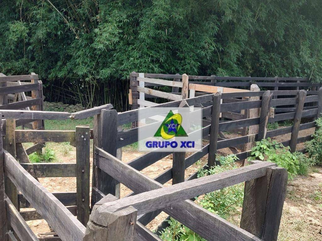 Fazenda à venda, 1060000M2 - Foto 19