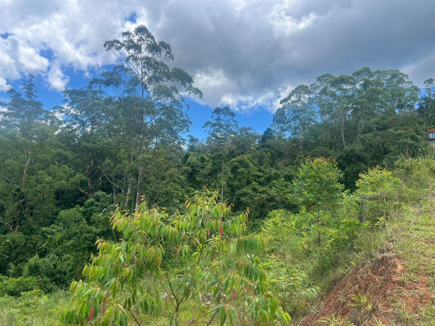 Terreno à venda, 6641m² - Foto 6