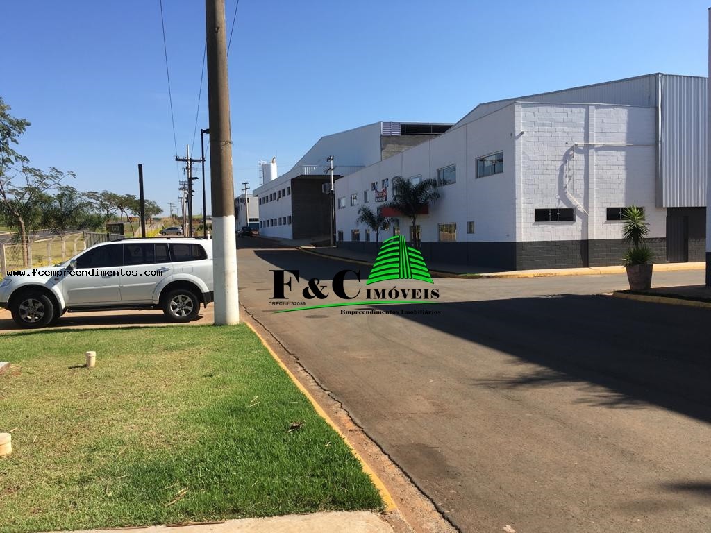 Depósito-Galpão - Foto 3