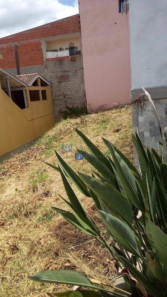 Terreno, 250 m² - Foto 4