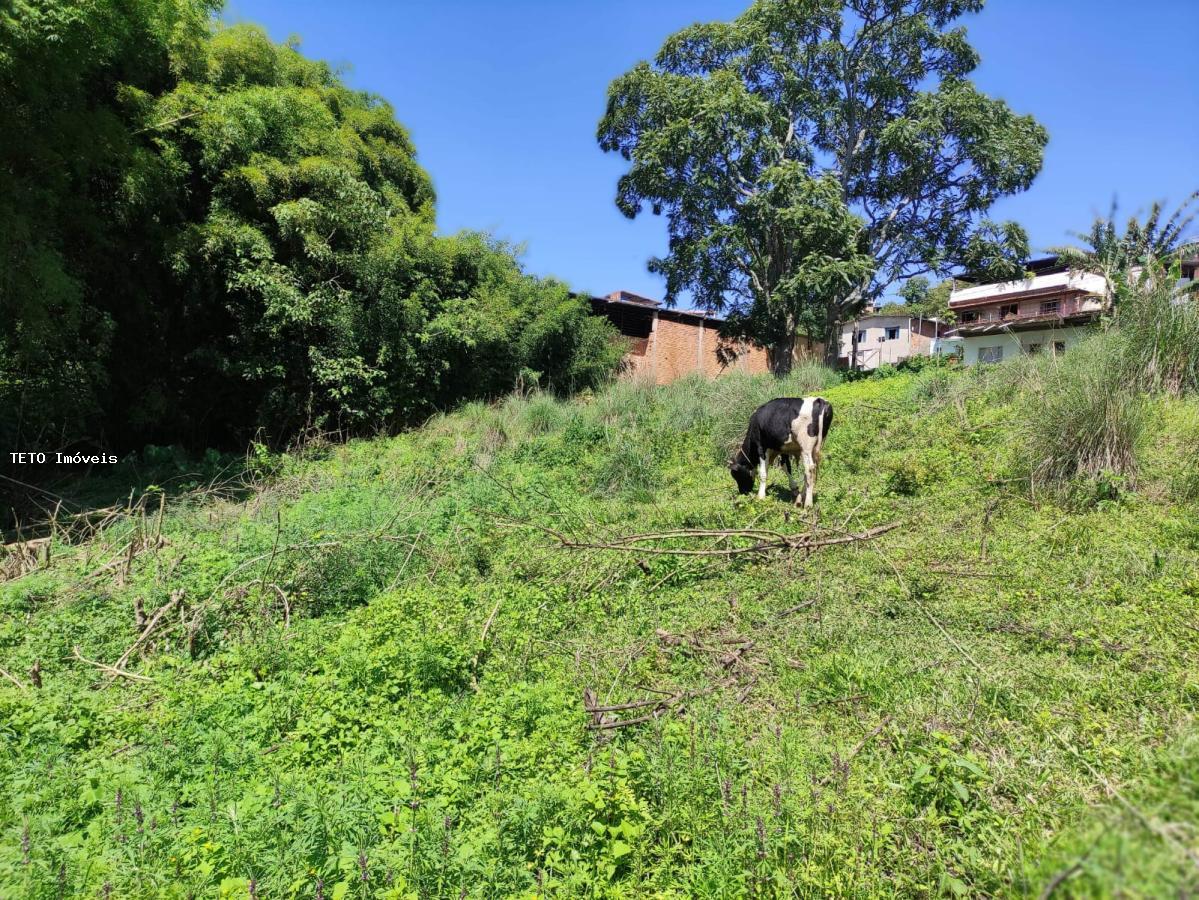 Terreno à venda, 9541m² - Foto 16