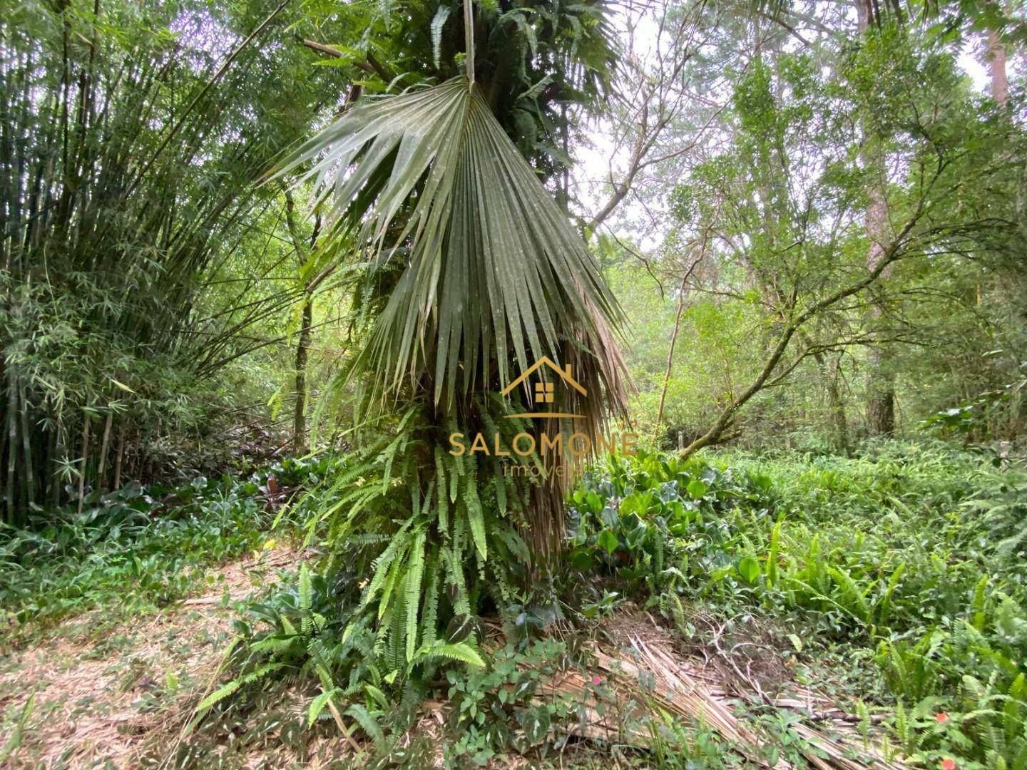 Sítio, 2 quartos, 7473 m² - Foto 11