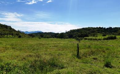 Sítio à venda com 2 quartos, 210000m² - Foto 16