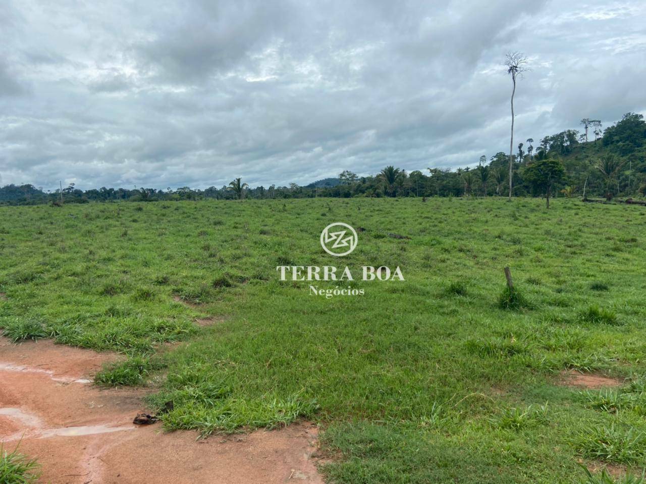 Fazenda à venda, 1452000M2 - Foto 14