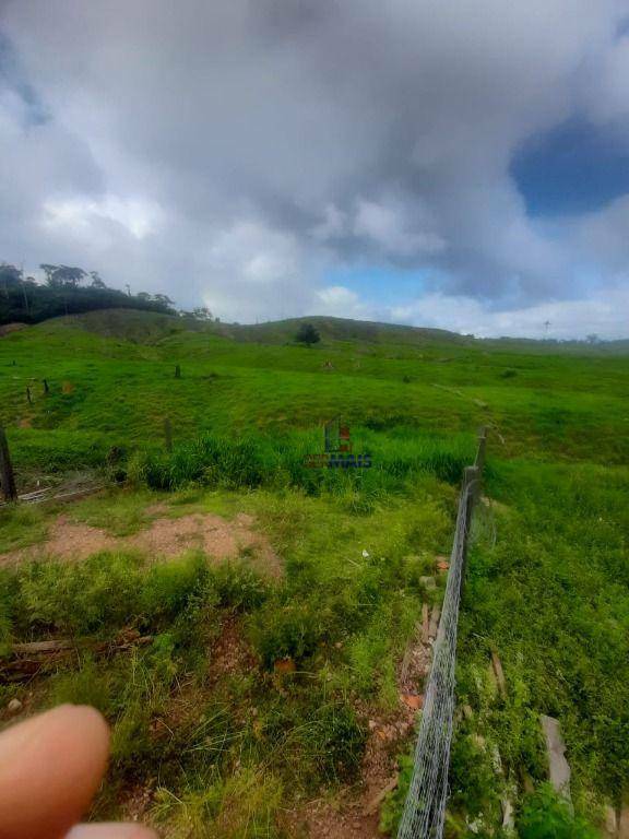 Fazenda à venda com 1 quarto, 3533200M2 - Foto 18