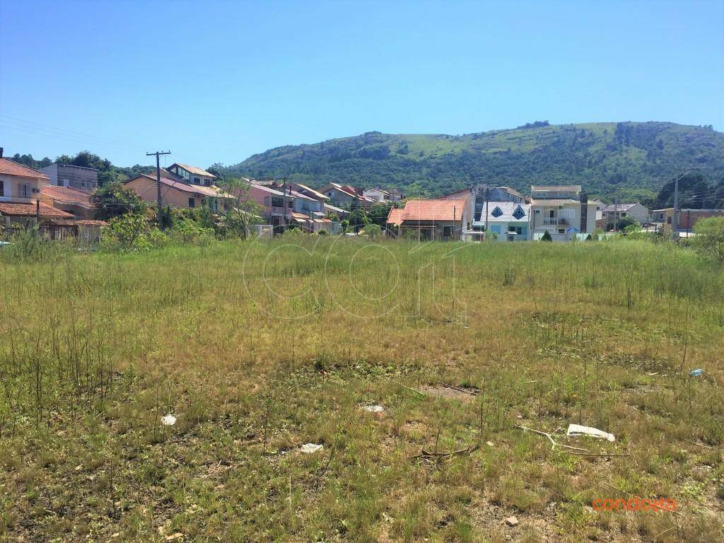Terreno para alugar, 2000M2 - Foto 4