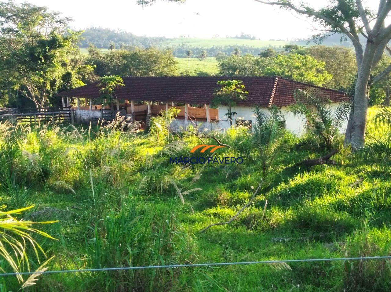 Fazenda, 121 hectares - Foto 24