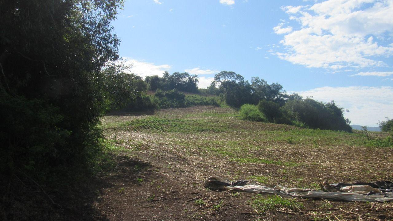 Loteamento e Condomínio à venda, 199000m² - Foto 4