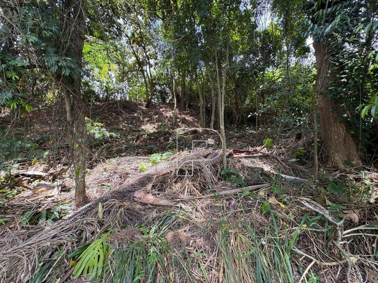 Loteamento e Condomínio, 235 m² - Foto 5