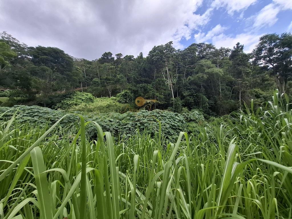 Terreno à venda, 11000m² - Foto 8