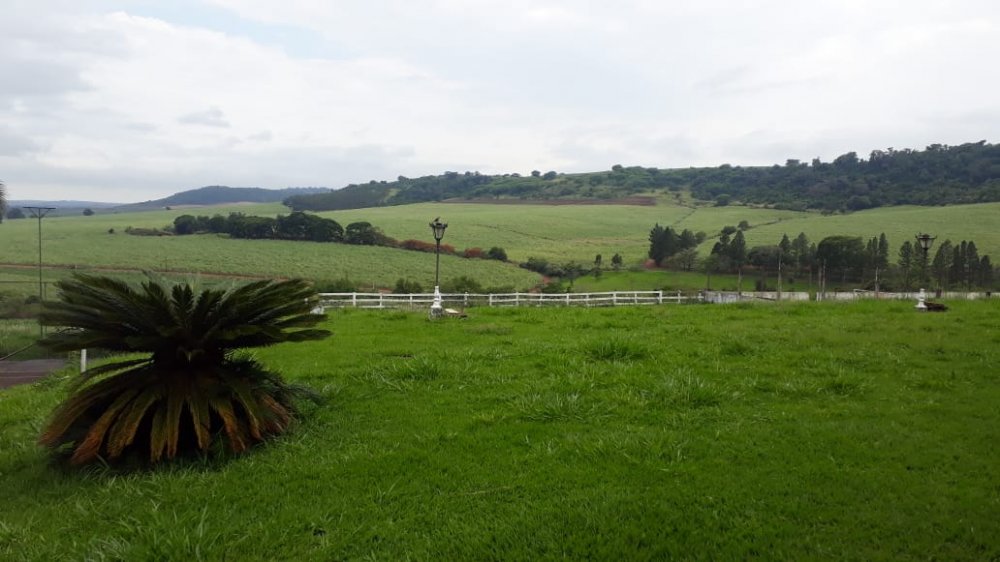 Fazenda, 216 hectares - Foto 11