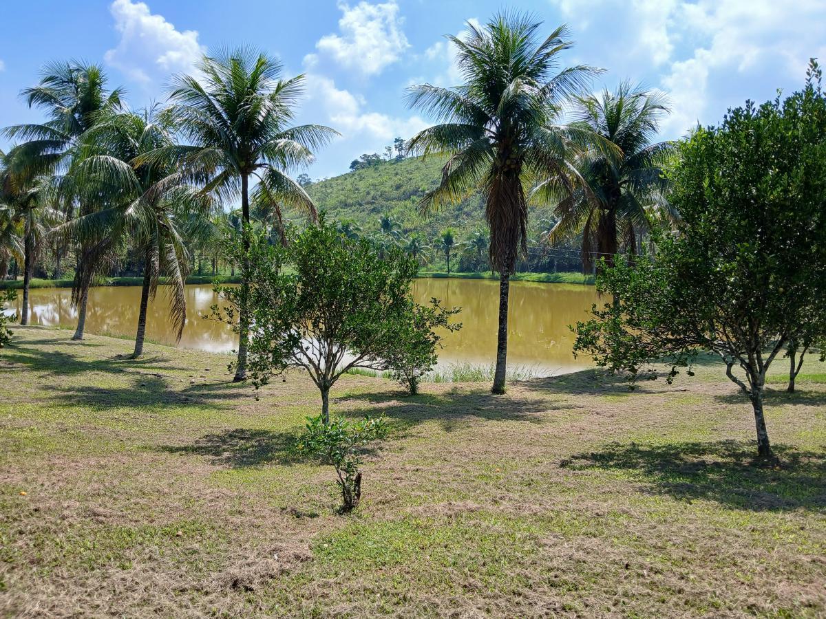 Fazenda à venda com 3 quartos, 26000m² - Foto 12