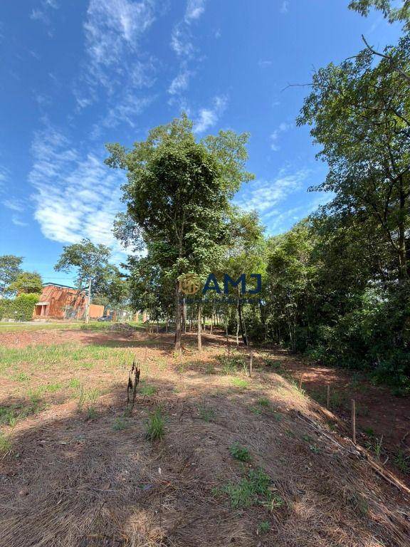 Loteamento e Condomínio, 1495 m² - Foto 3