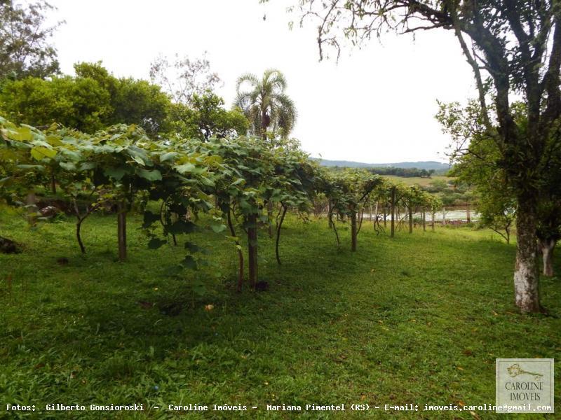 Sítio à venda com 3 quartos, 60000m² - Foto 21