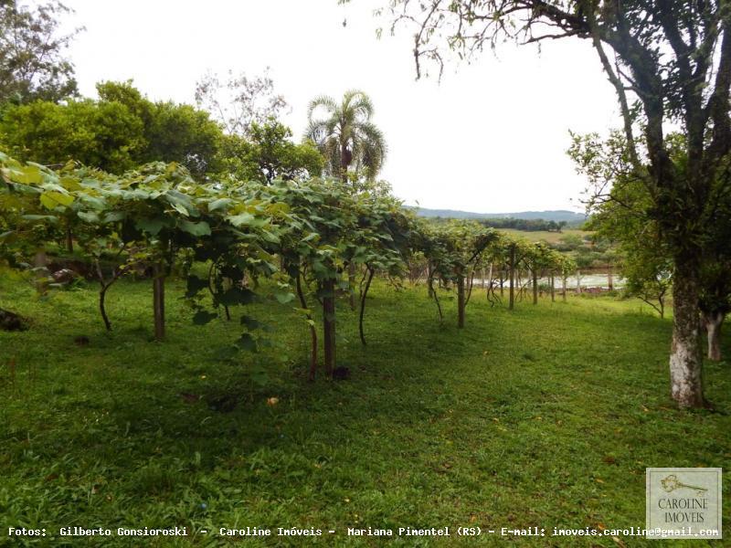 Fazenda à venda com 3 quartos, 60000m² - Foto 21