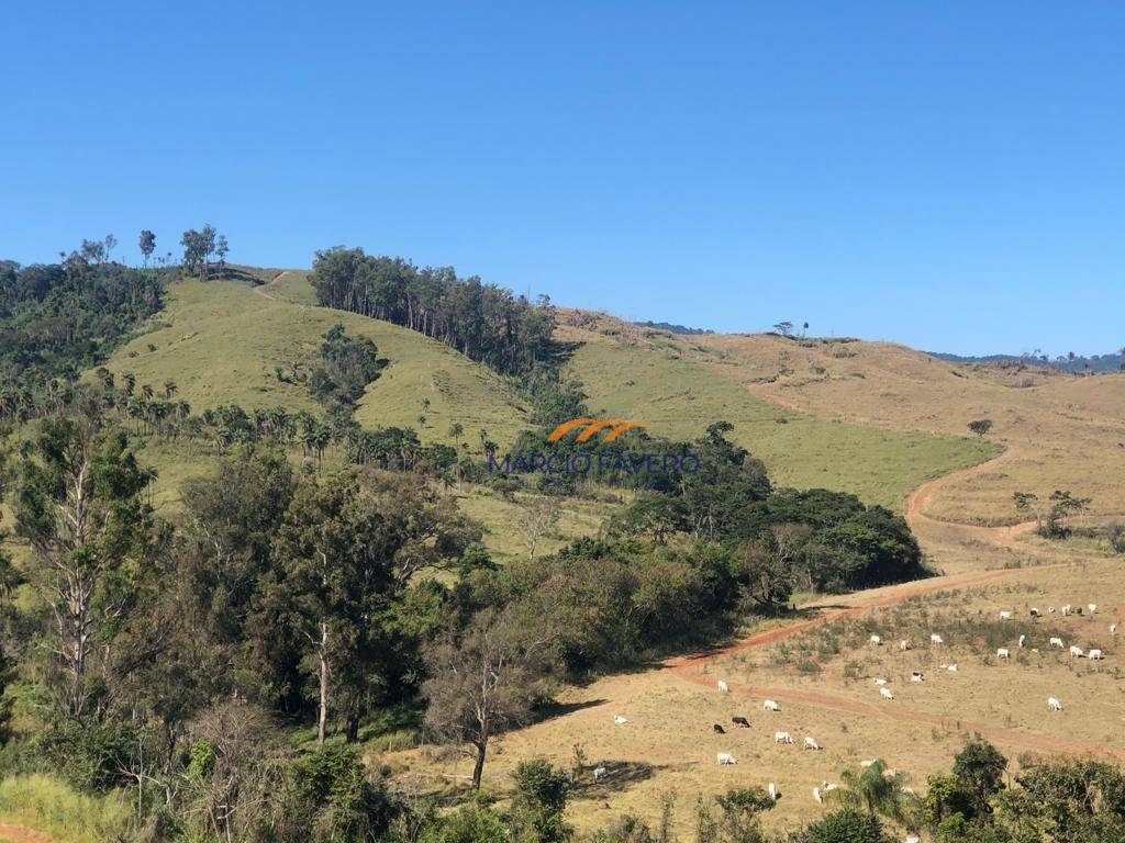 Fazenda-Sítio-Chácara, 823 hectares - Foto 2
