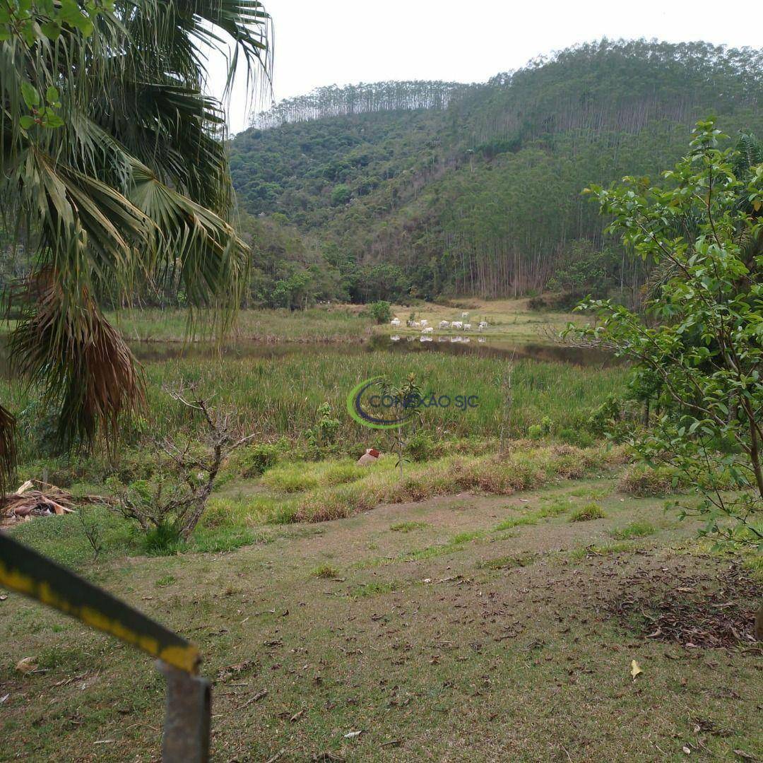 Fazenda à venda com 3 quartos, 1452000M2 - Foto 11