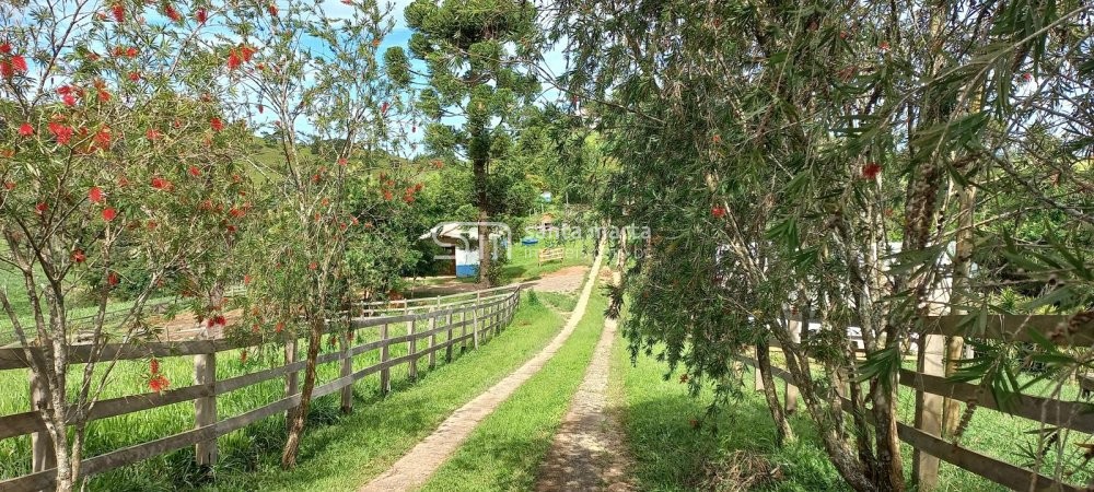 Fazenda à venda com 1 quarto, 150m² - Foto 6