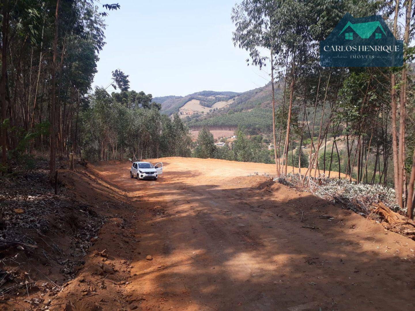 Terreno à venda, 10000M2 - Foto 1