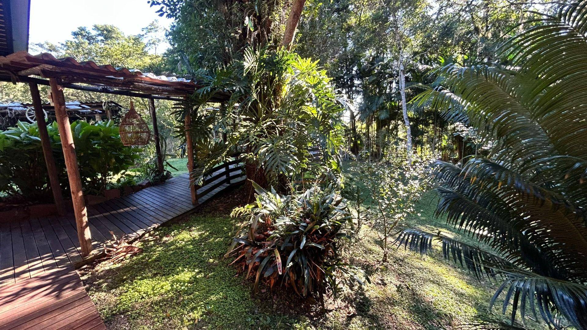 Sítio, 14 hectares - Foto 29