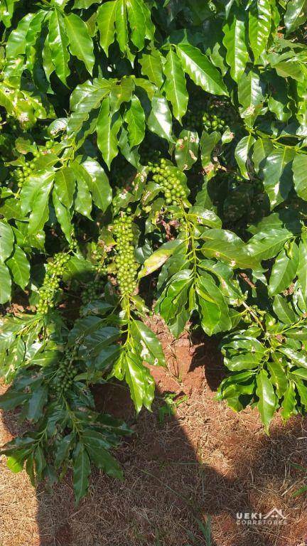 Fazenda à venda, 2420000M2 - Foto 7