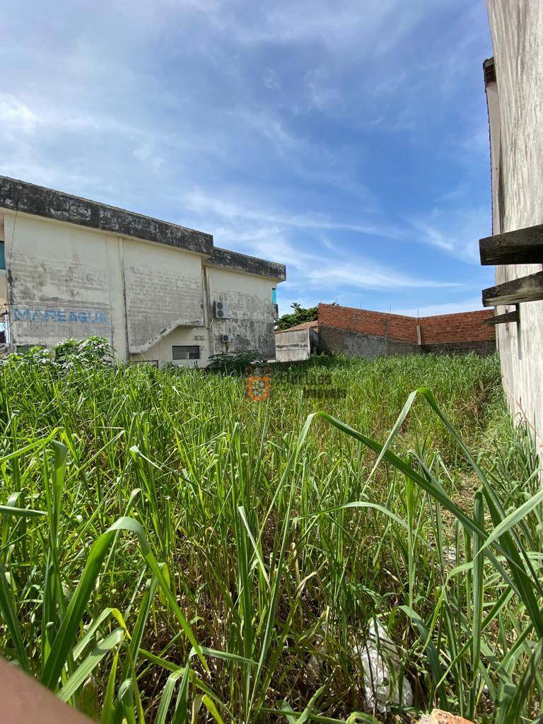 Terreno, 366 m² - Foto 5