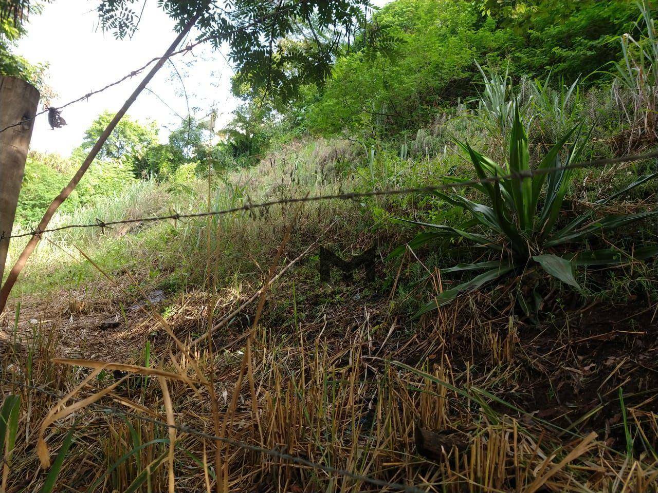 Terreno à venda, 450M2 - Foto 19