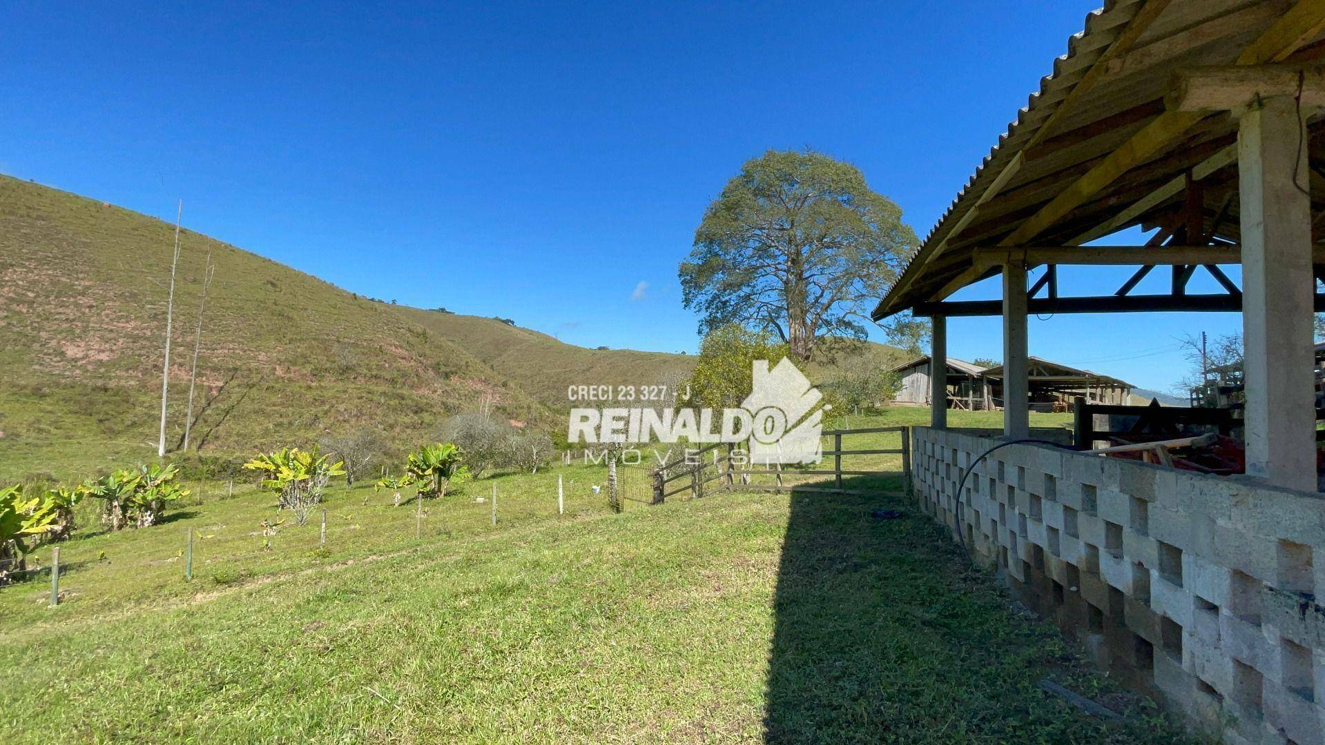 Fazenda à venda com 8 quartos, 900m² - Foto 11