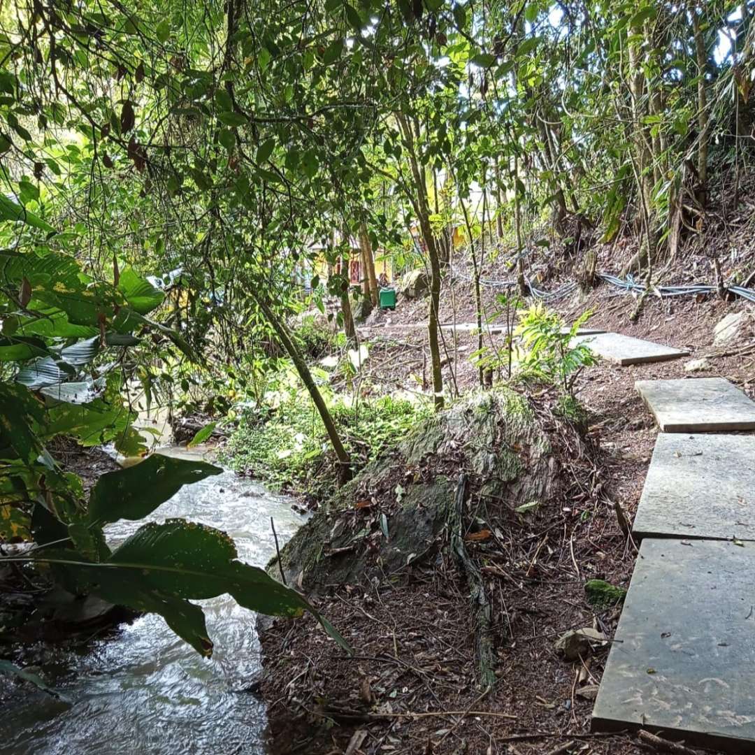 Chácara, 2 quartos, 7500 m² - Foto 17