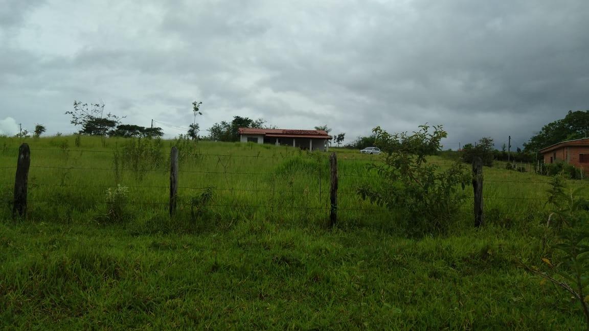 Fazenda à venda com 2 quartos - Foto 14