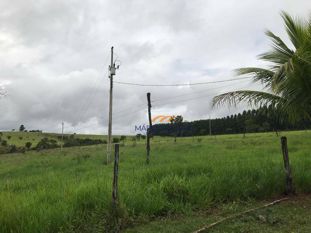 Fazenda à venda, 4250000M2 - Foto 18