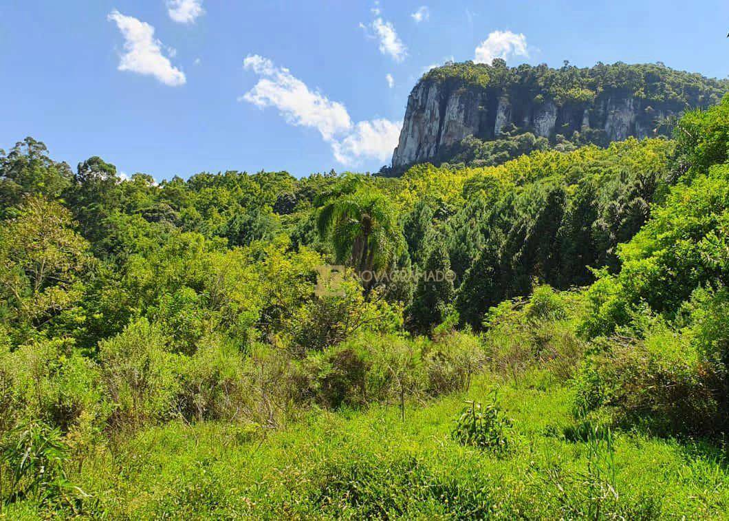 Sítio à venda, 350000M2 - Foto 2