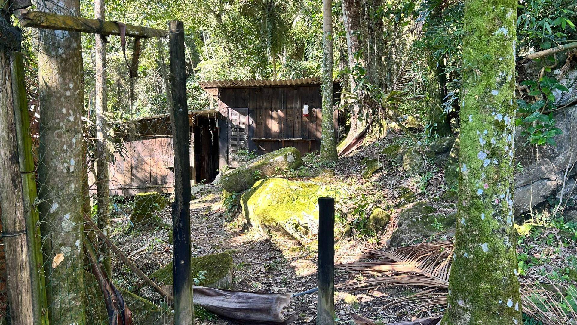 Sítio, 14 hectares - Foto 3