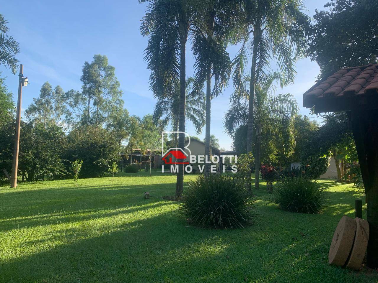 Fazenda à venda com 2 quartos, 31460M2 - Foto 4