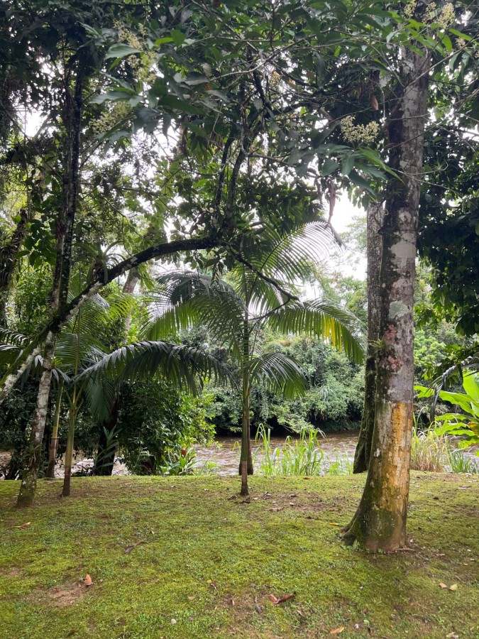 Chácara à venda, 22000m² - Foto 8