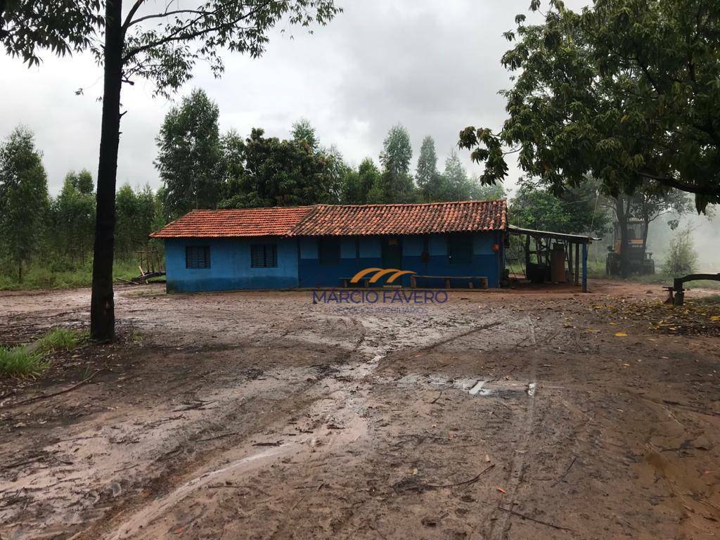 Fazenda à venda, 4250000M2 - Foto 7